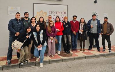 Descubriendo la historia de la seda